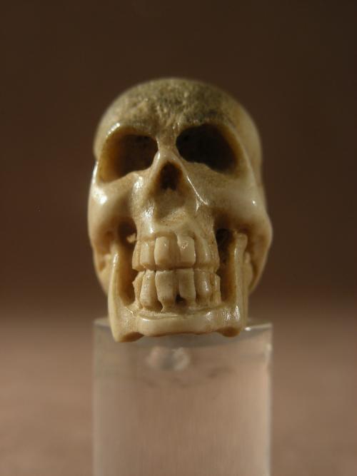 Antique Memento Mori Carved Skull.